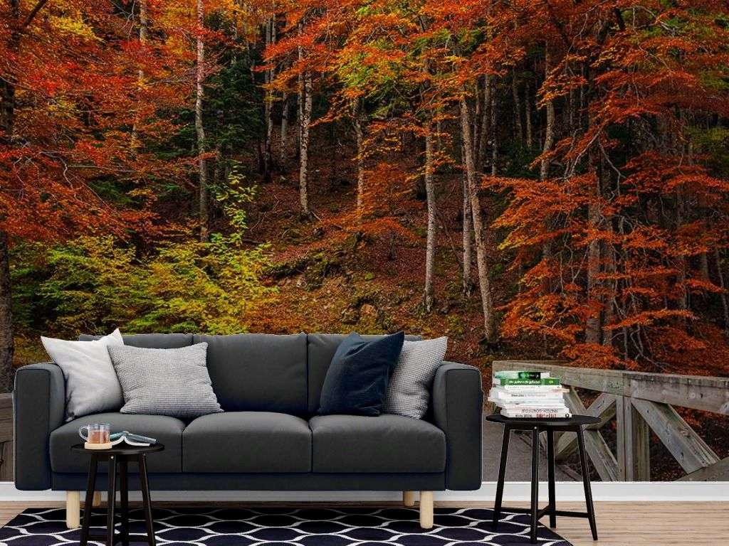 Фотообои в интерьере мост в лесу  9-1969 фото