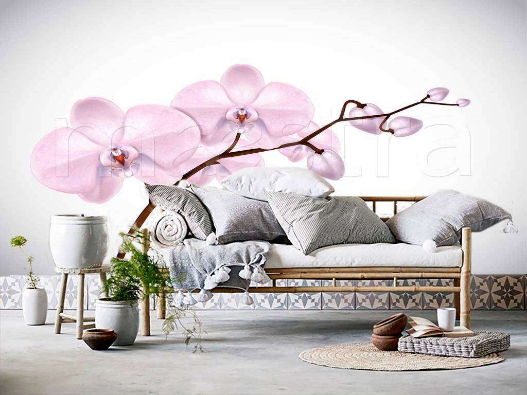 Фотообои Веточка розовой орхидеи  9-293