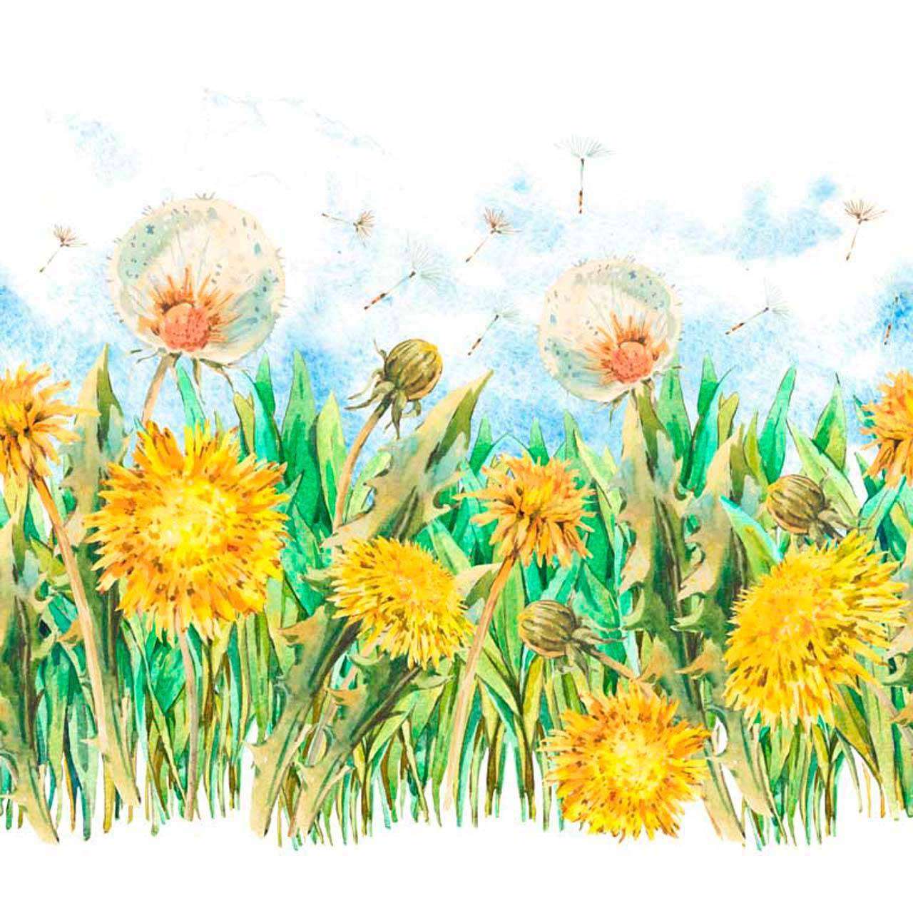 Фотообои в интерьере нарисованные одуванчики  10-073 фото