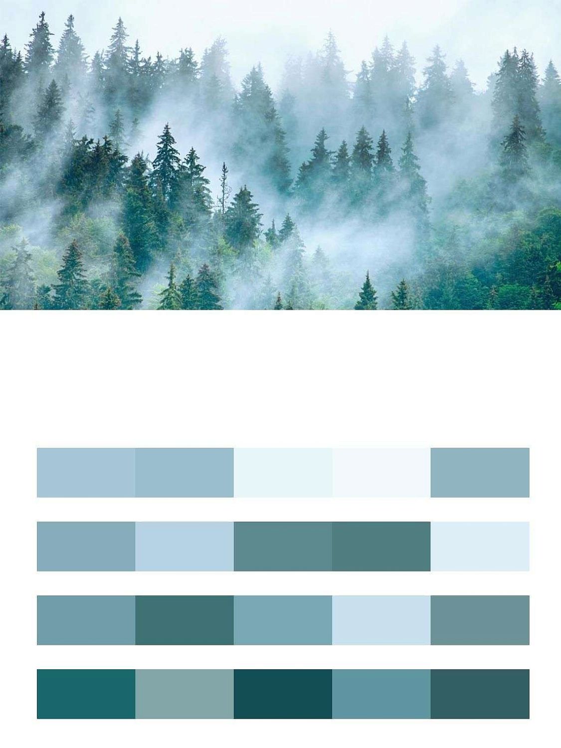 Прекрасный утренний лес  14-615