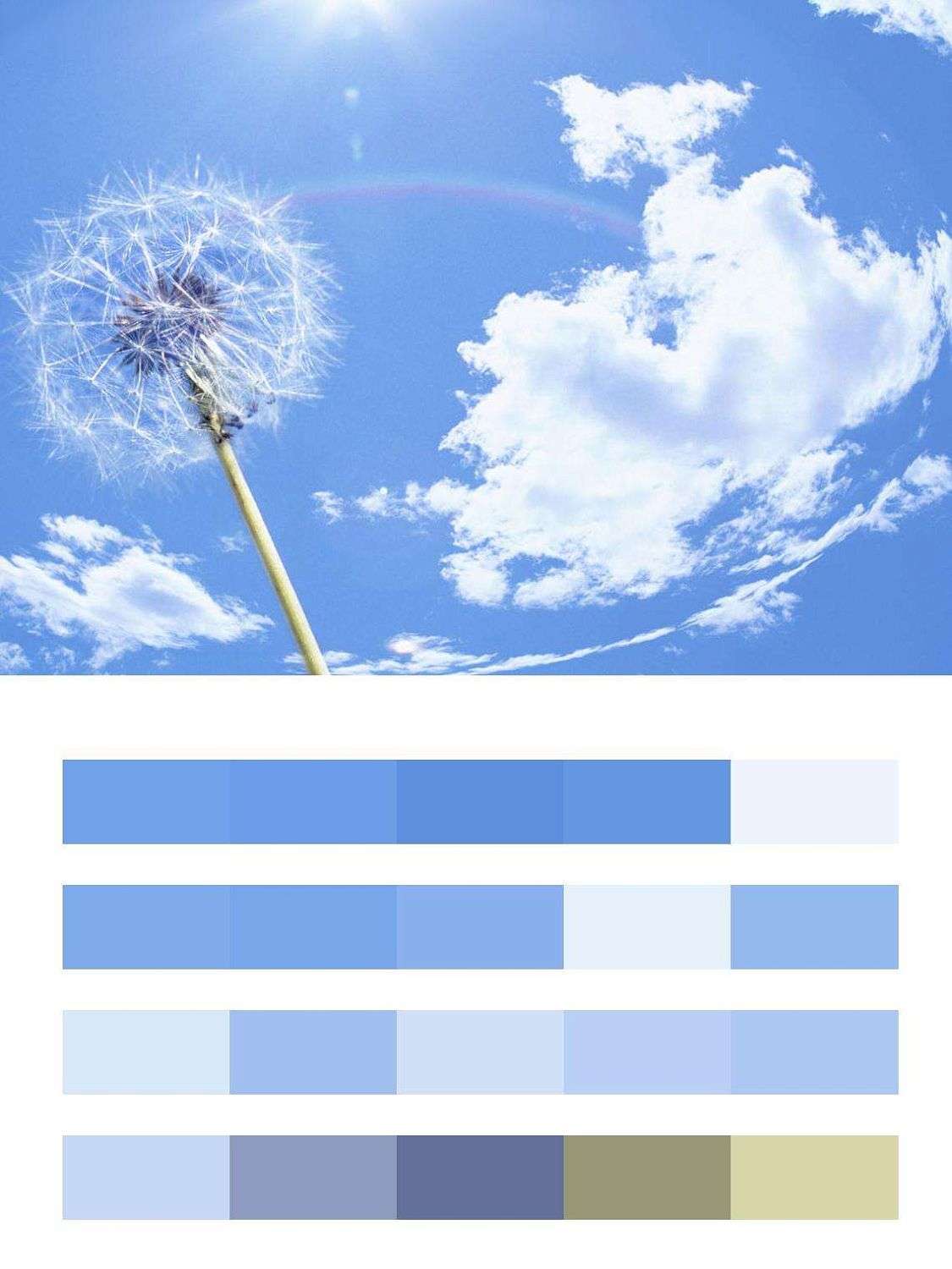 Белый одуванчик в небе  9-378