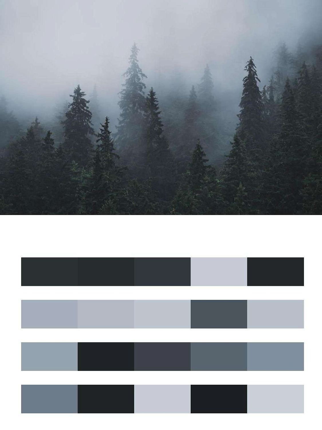 Леса туманов  9-1156