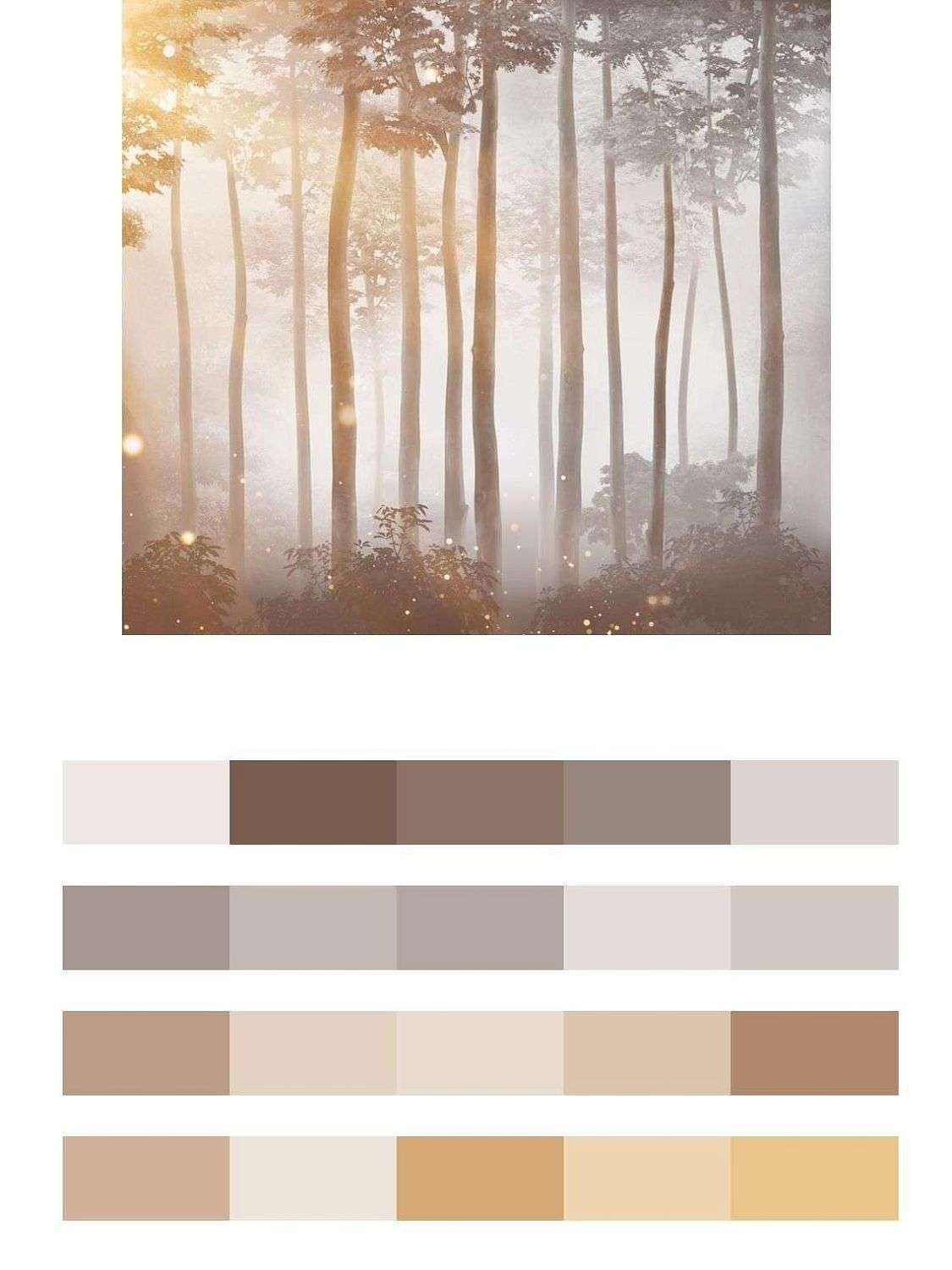 Лучи солнца в лесу  14-572