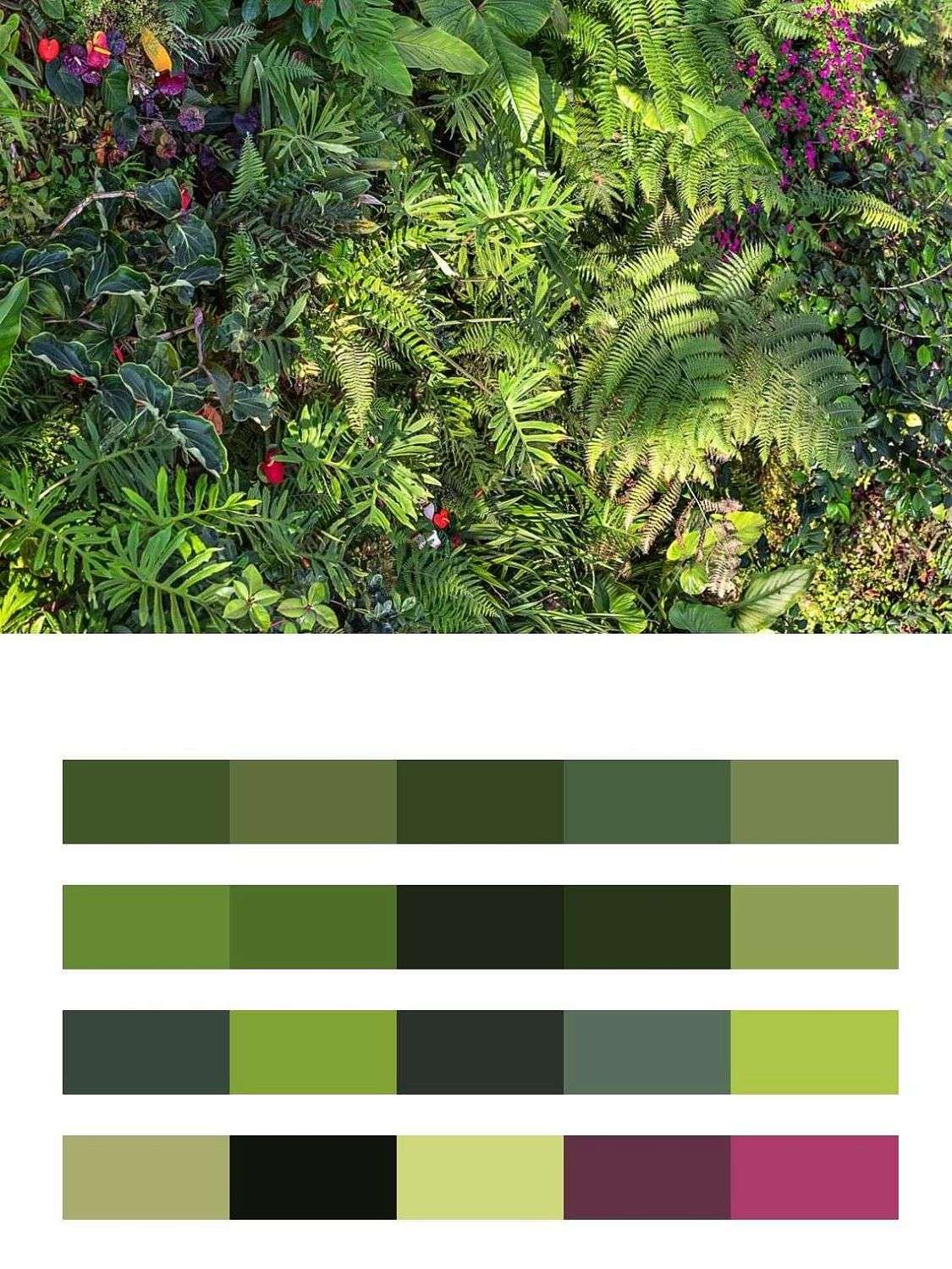 Густой лес  9-1614