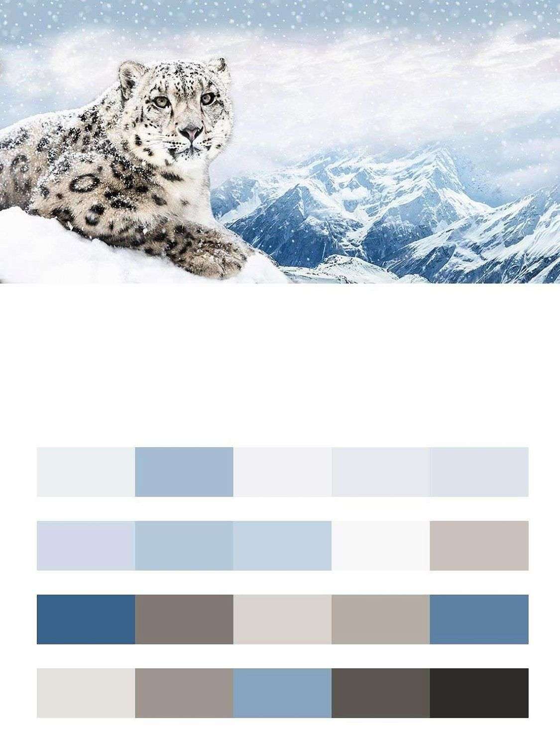 Снежный барс в горах  14-279