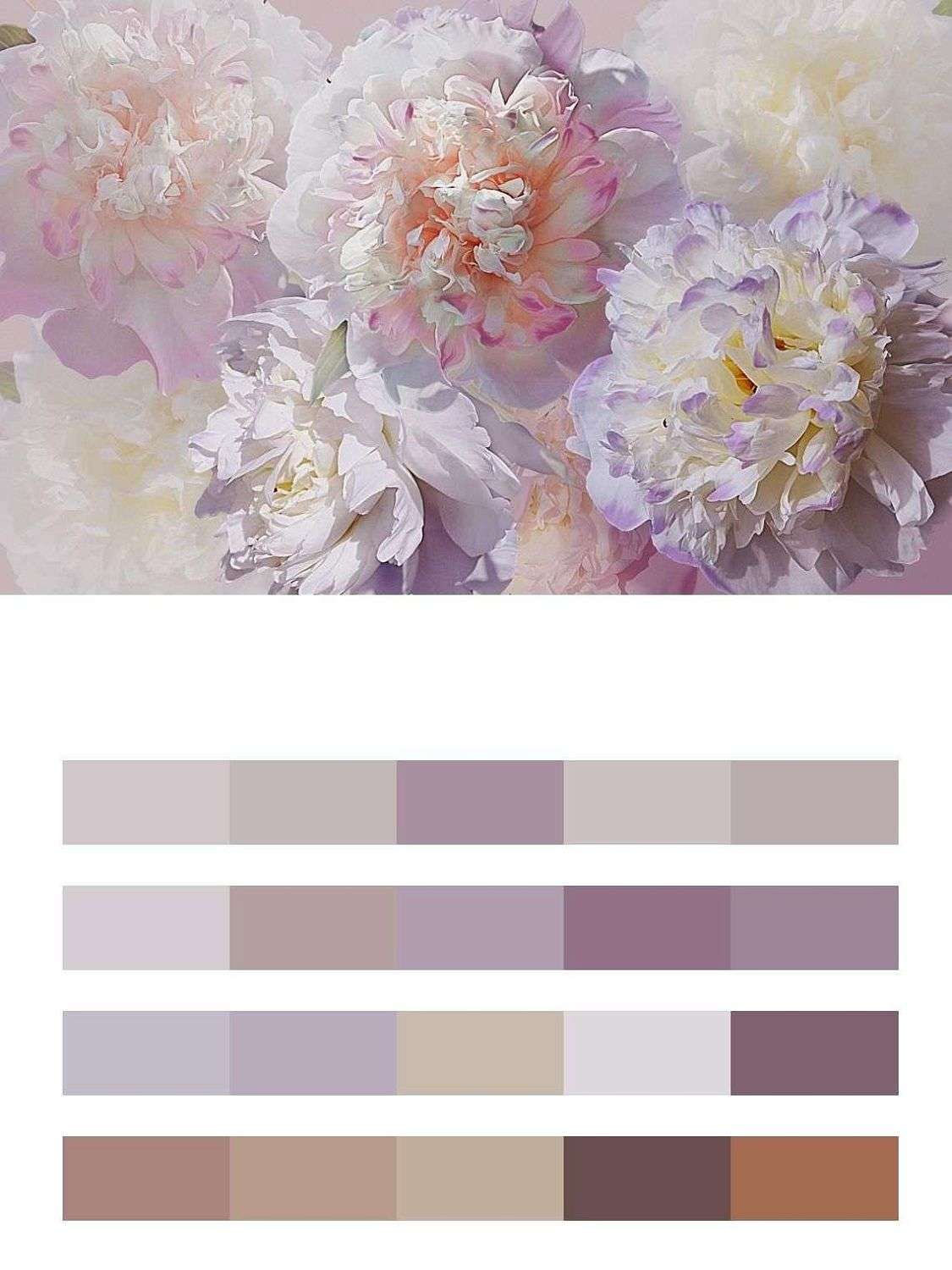 Пионы нежные 3д  13-229