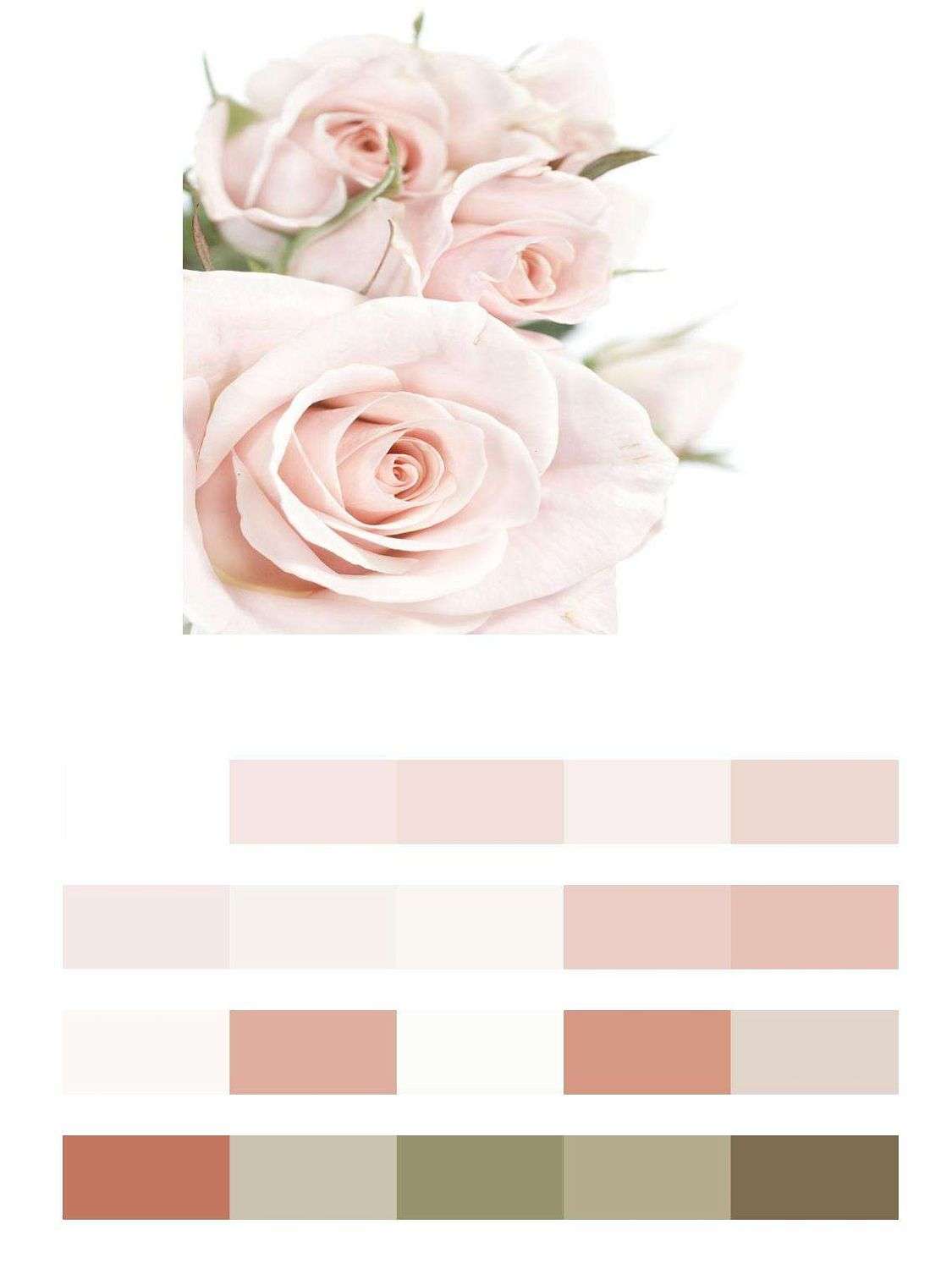 Розовые розы на белом  9-083