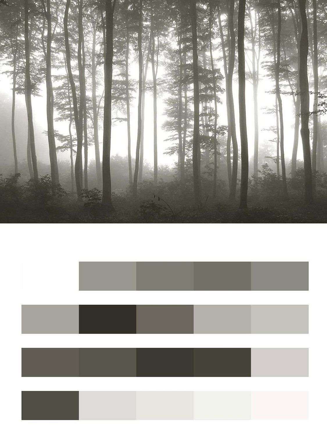 Туманный лес  9-1133