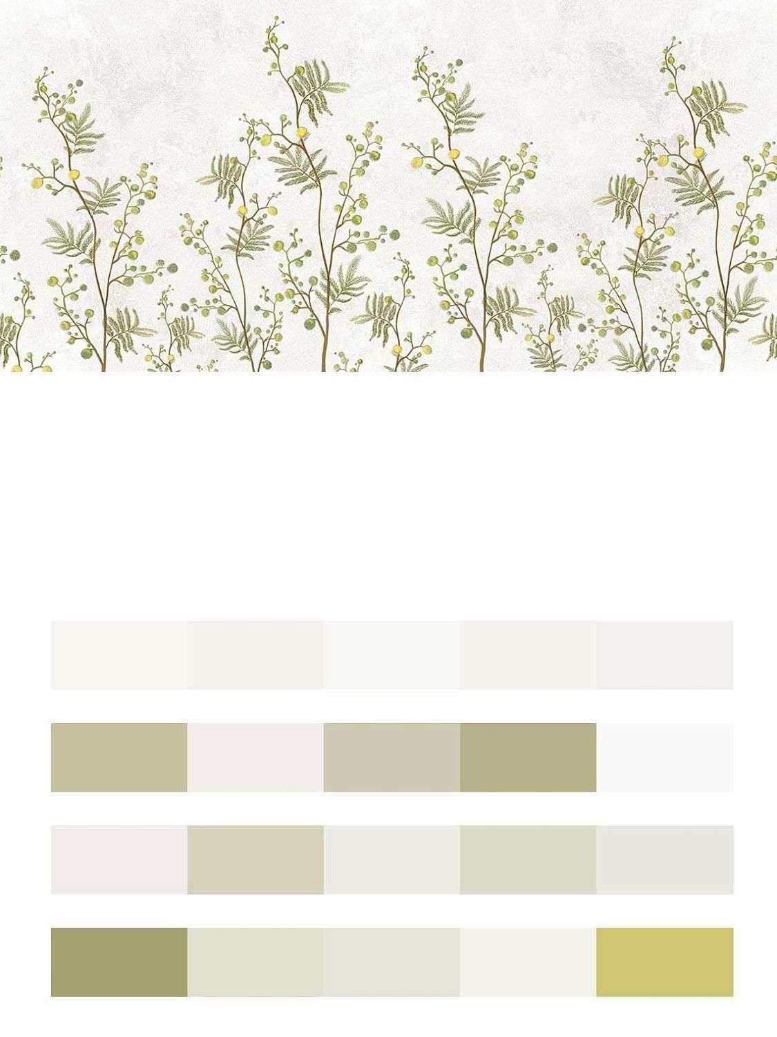 Мимоза на белом фоне  9-1645