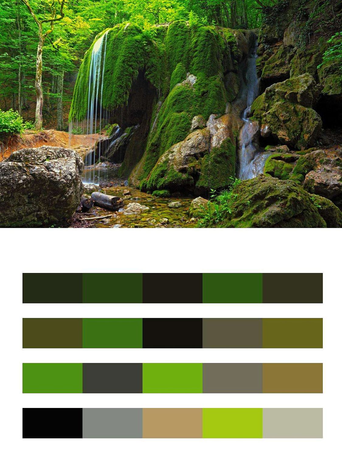 Лесные дебри  9-175