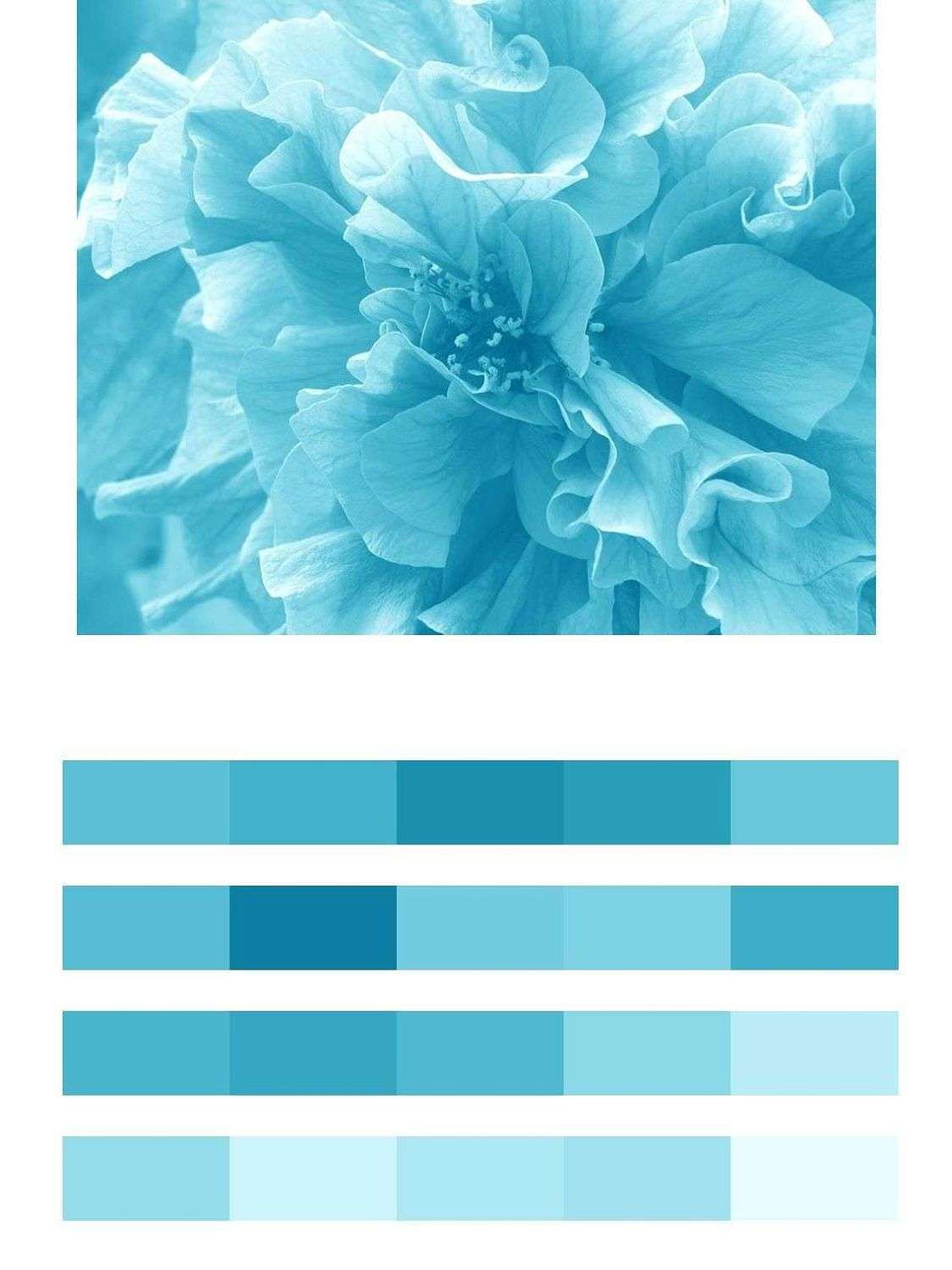 Голубой пион  9-1652