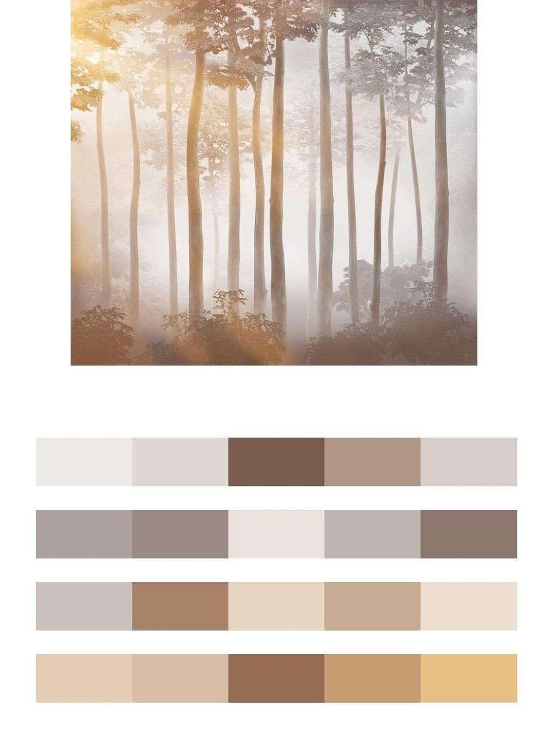 Деревья в лучах солнца  14-573