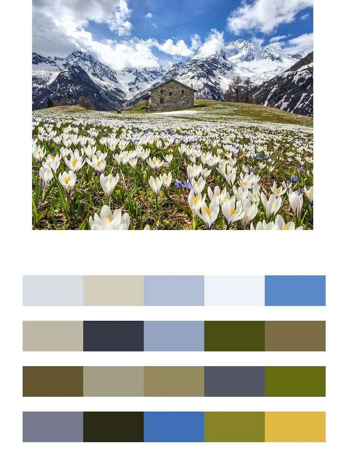 Альпийский луг  9-1678