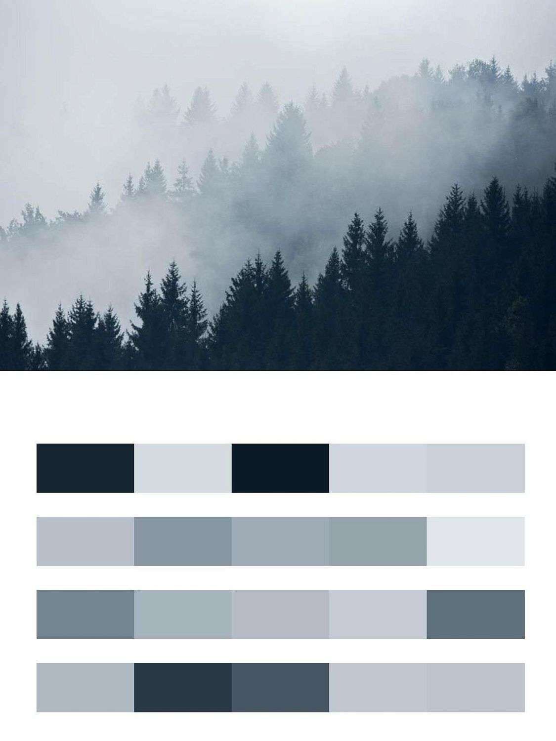 Утро в тумане  9-1168