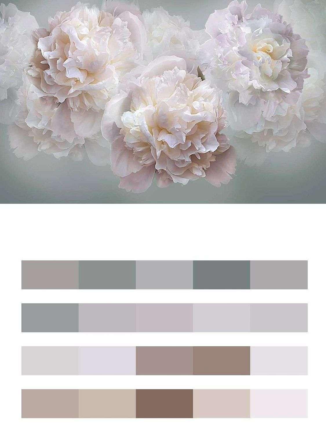 Фоновые пионы  13-412