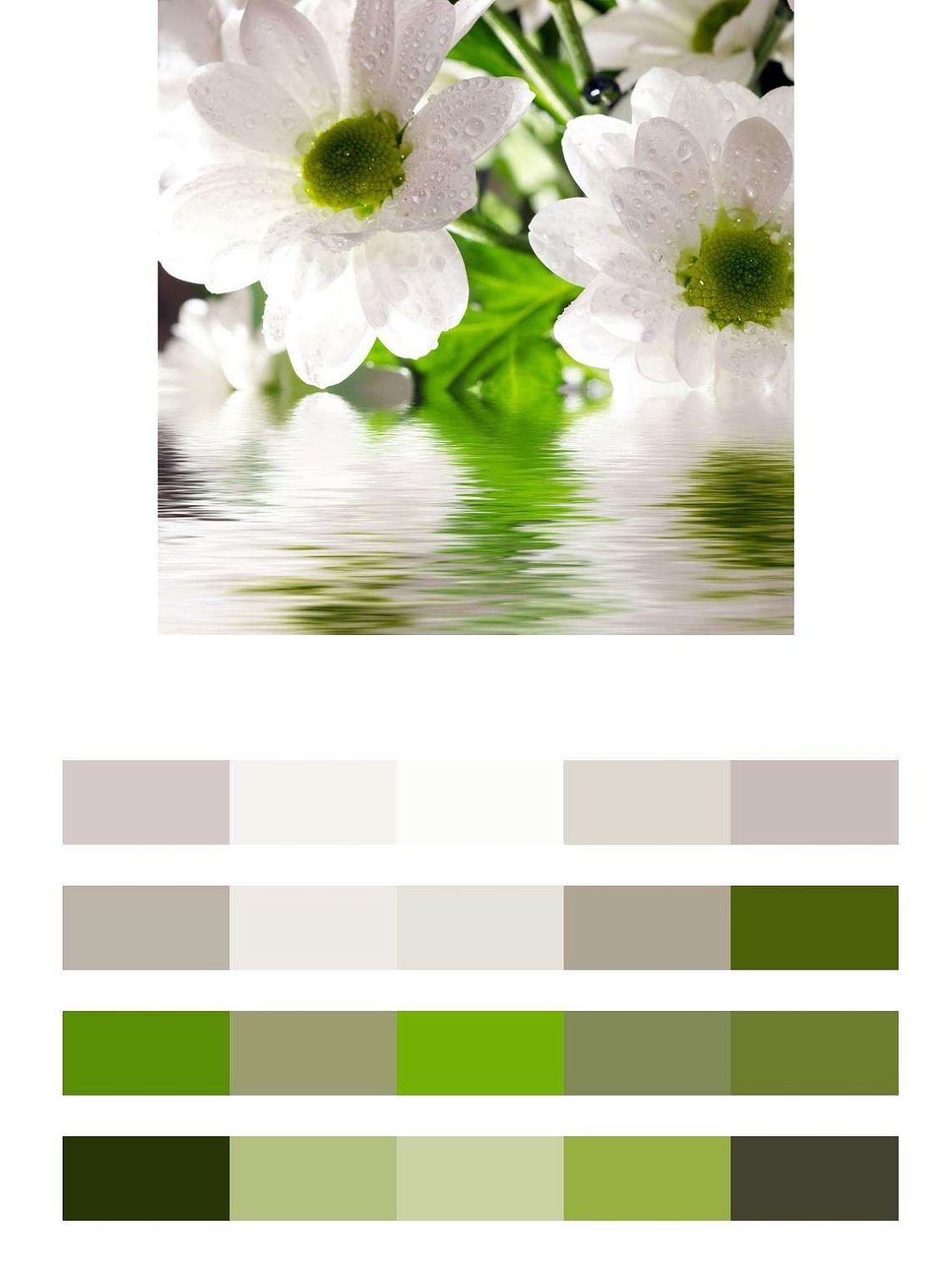 Ромашки над водой  9-058