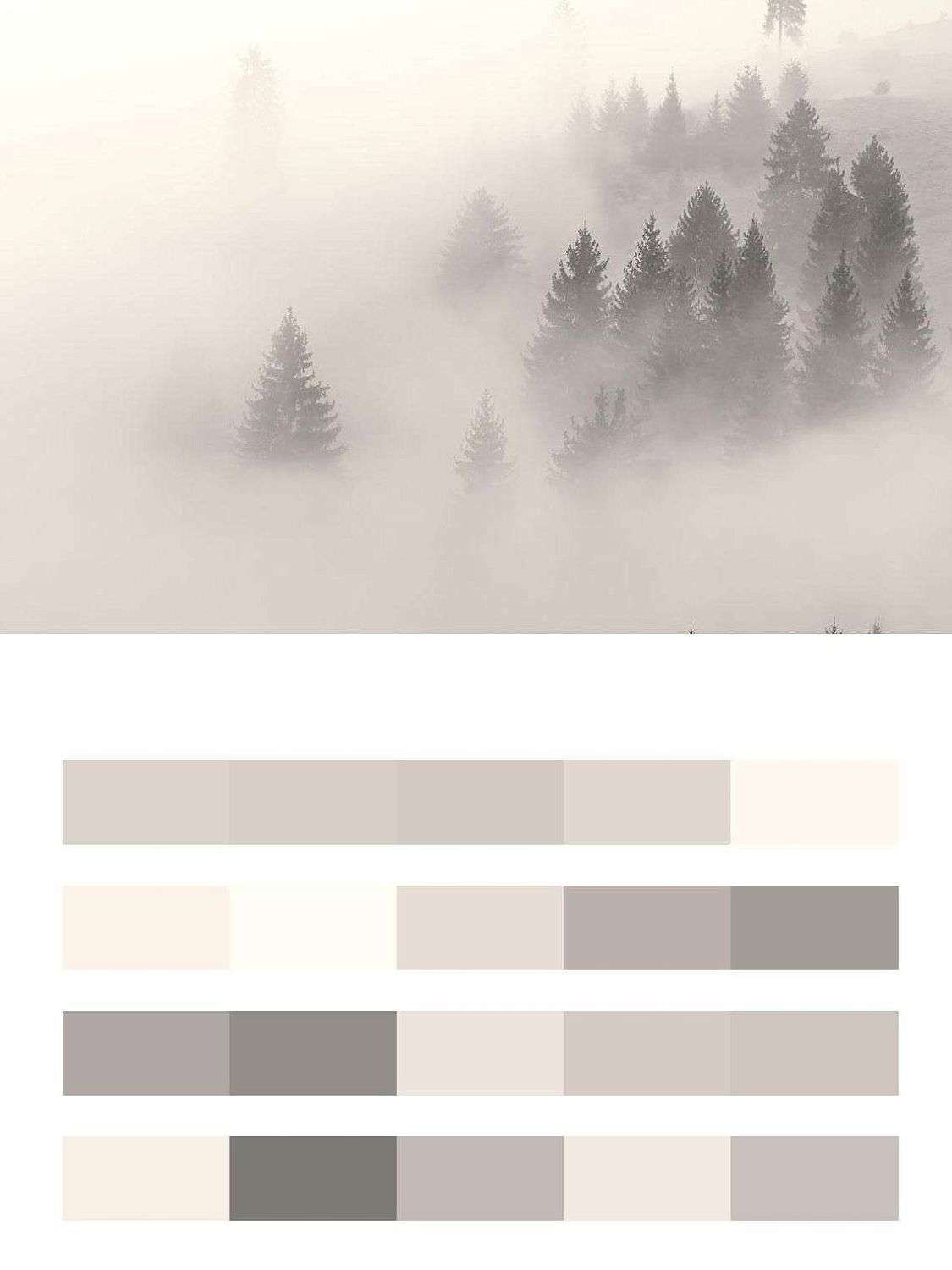 Ели в тумане  9-976