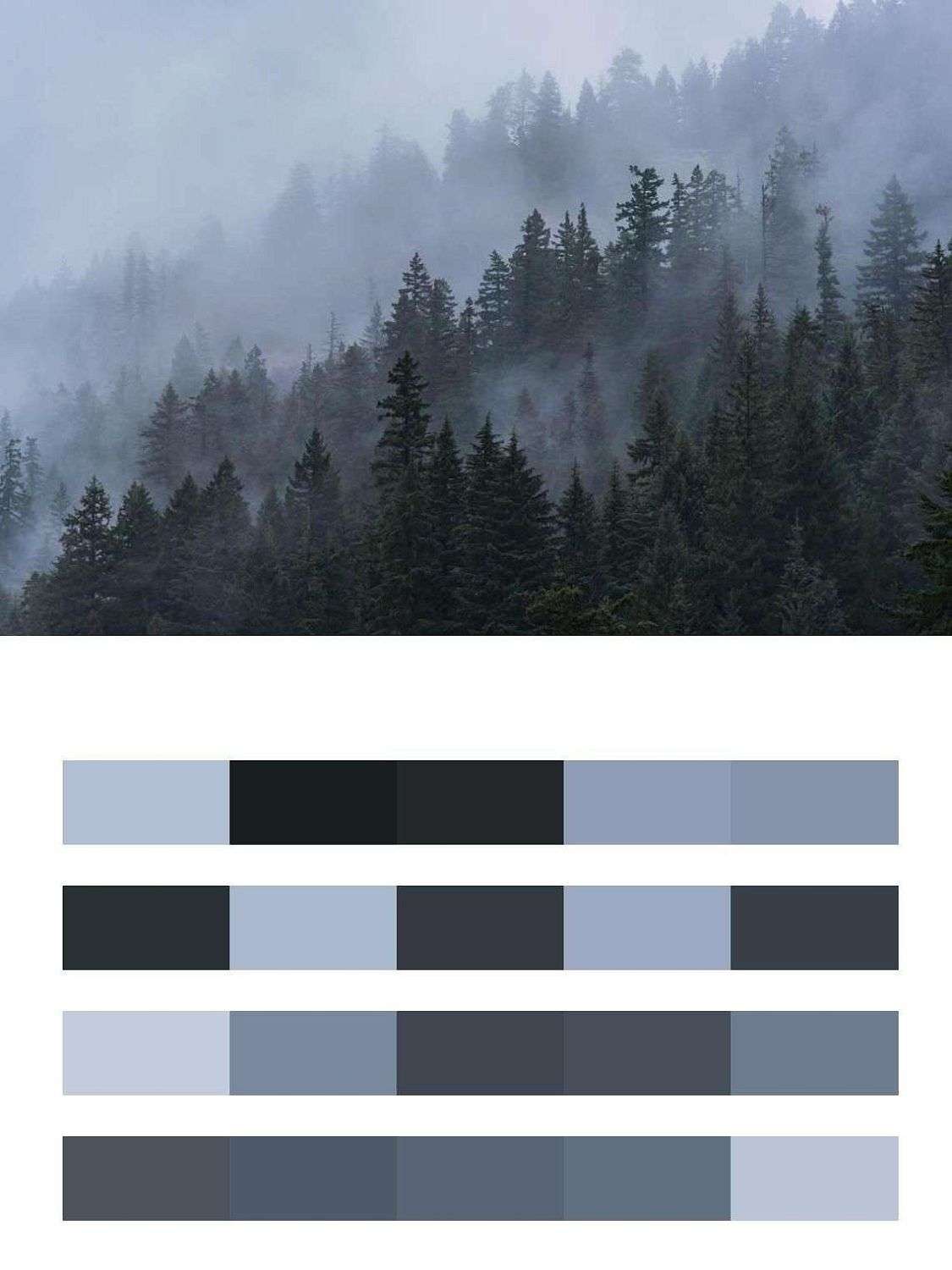 Лес утренний  9-1155