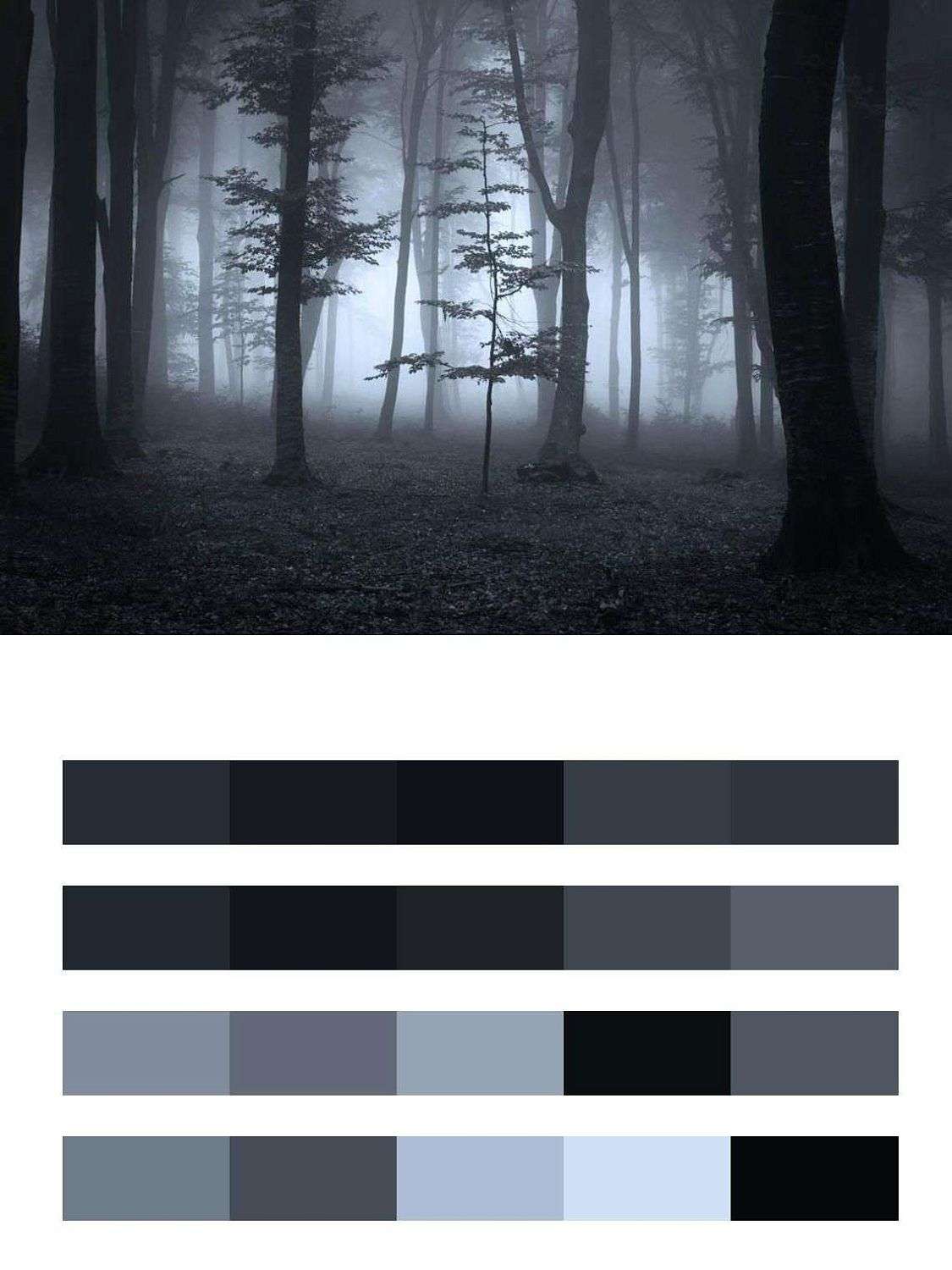 Сосновый бор  9-1600