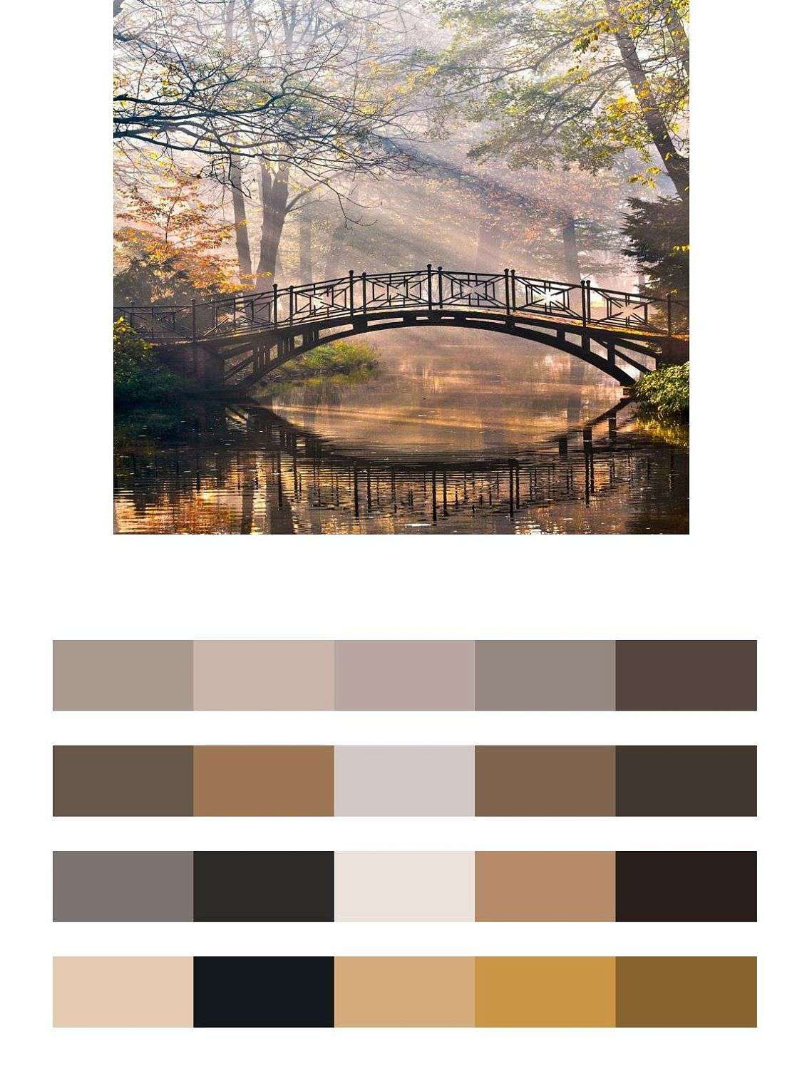 Легкий мостик в солнечном лесу  9-174