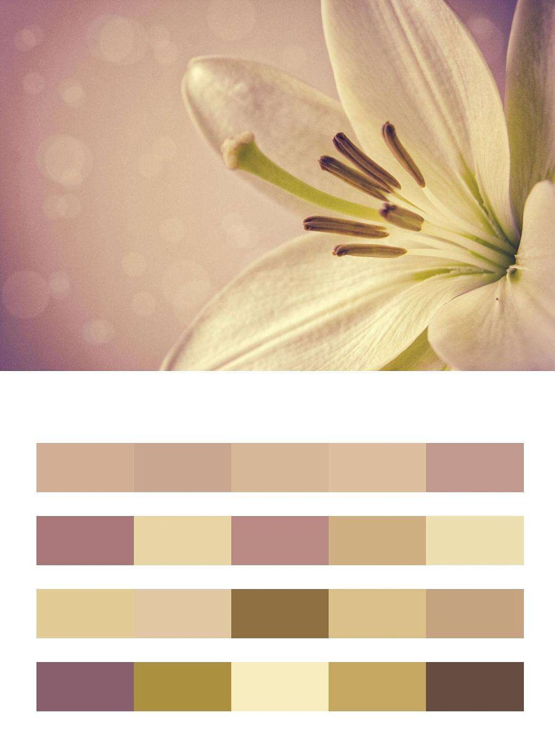 Нежная лилия  9-077