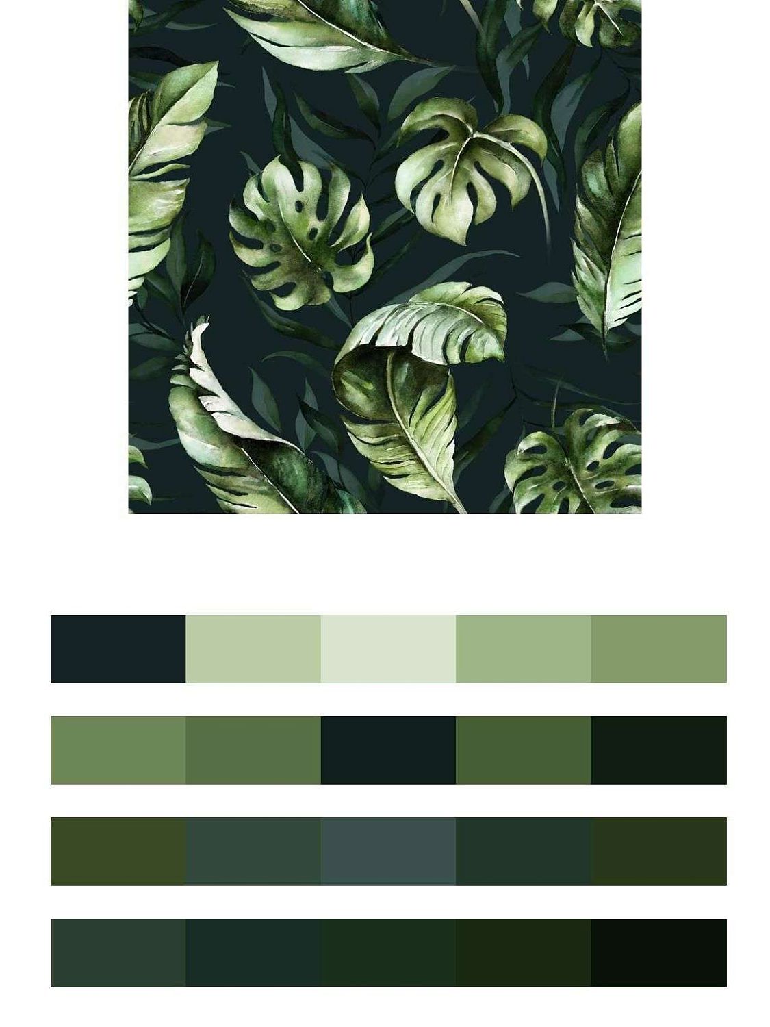 Листья монстеры на черном фоне  9-1211