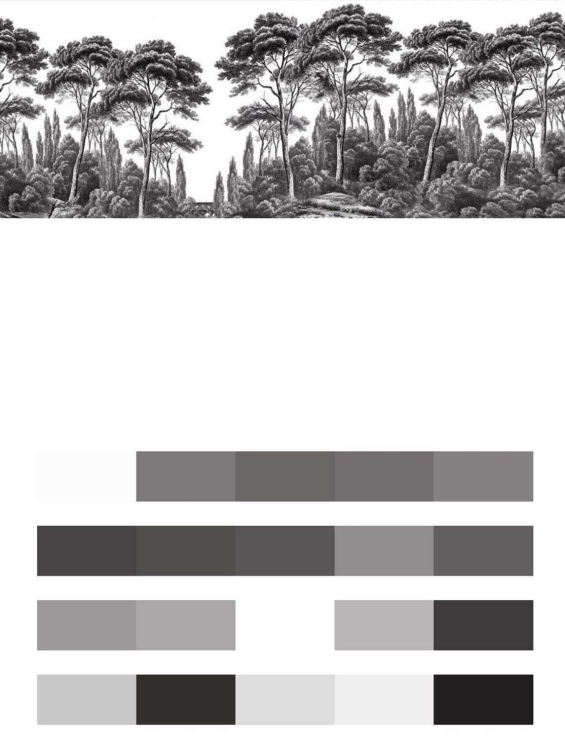 Кипарис в технике гризайль  9-1673