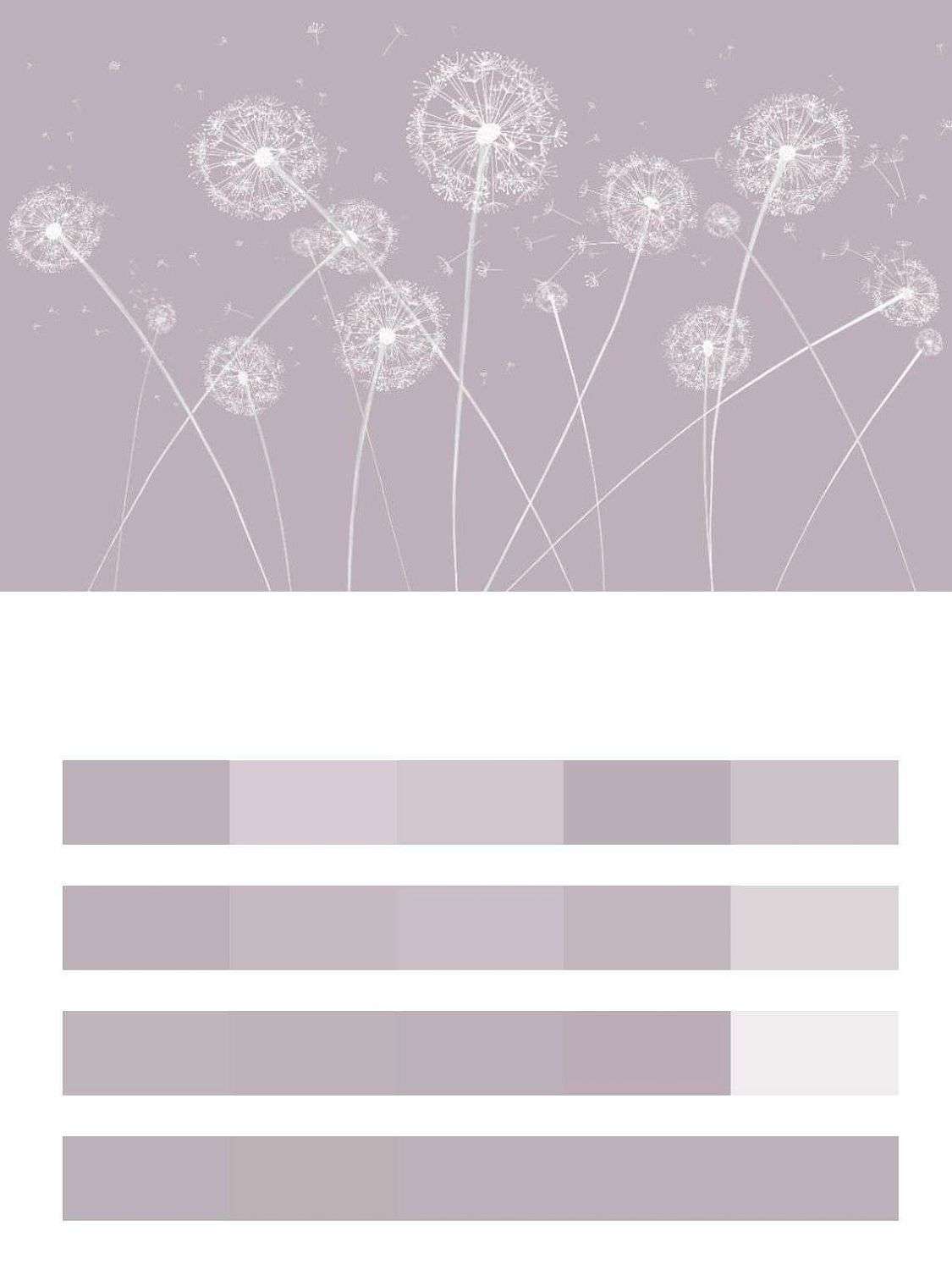 Одуванчики на розовом фоне  14-527