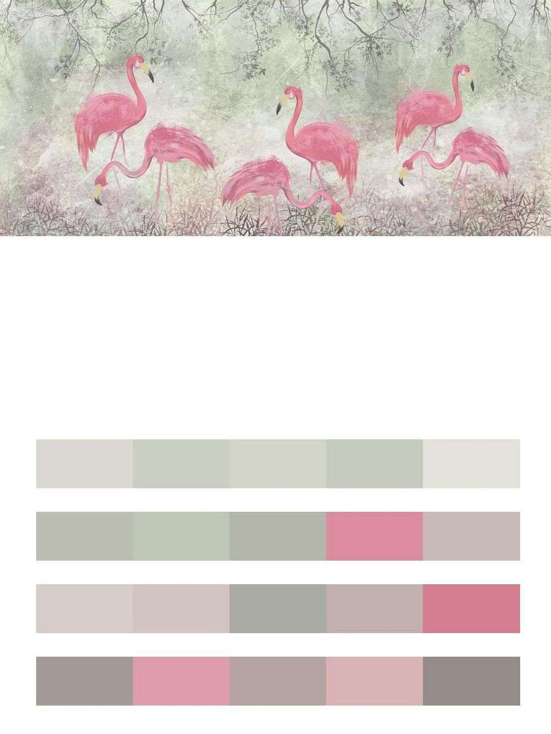 Красивые фламинго в саду  9-1699