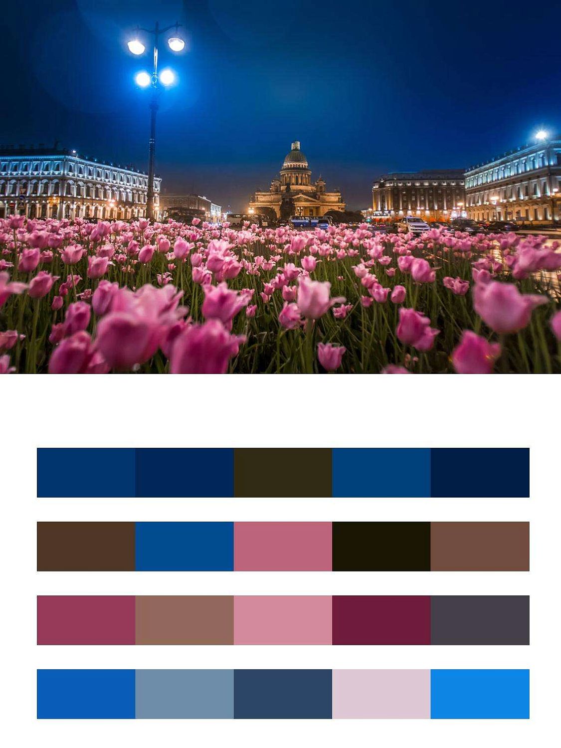 Розовые тюльпаны у Исаакиевского собора в ночи  9-668