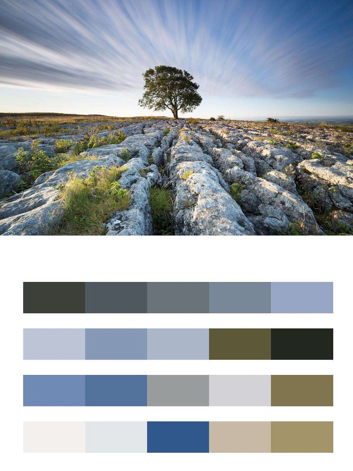 Англия дерево в горах  9-619