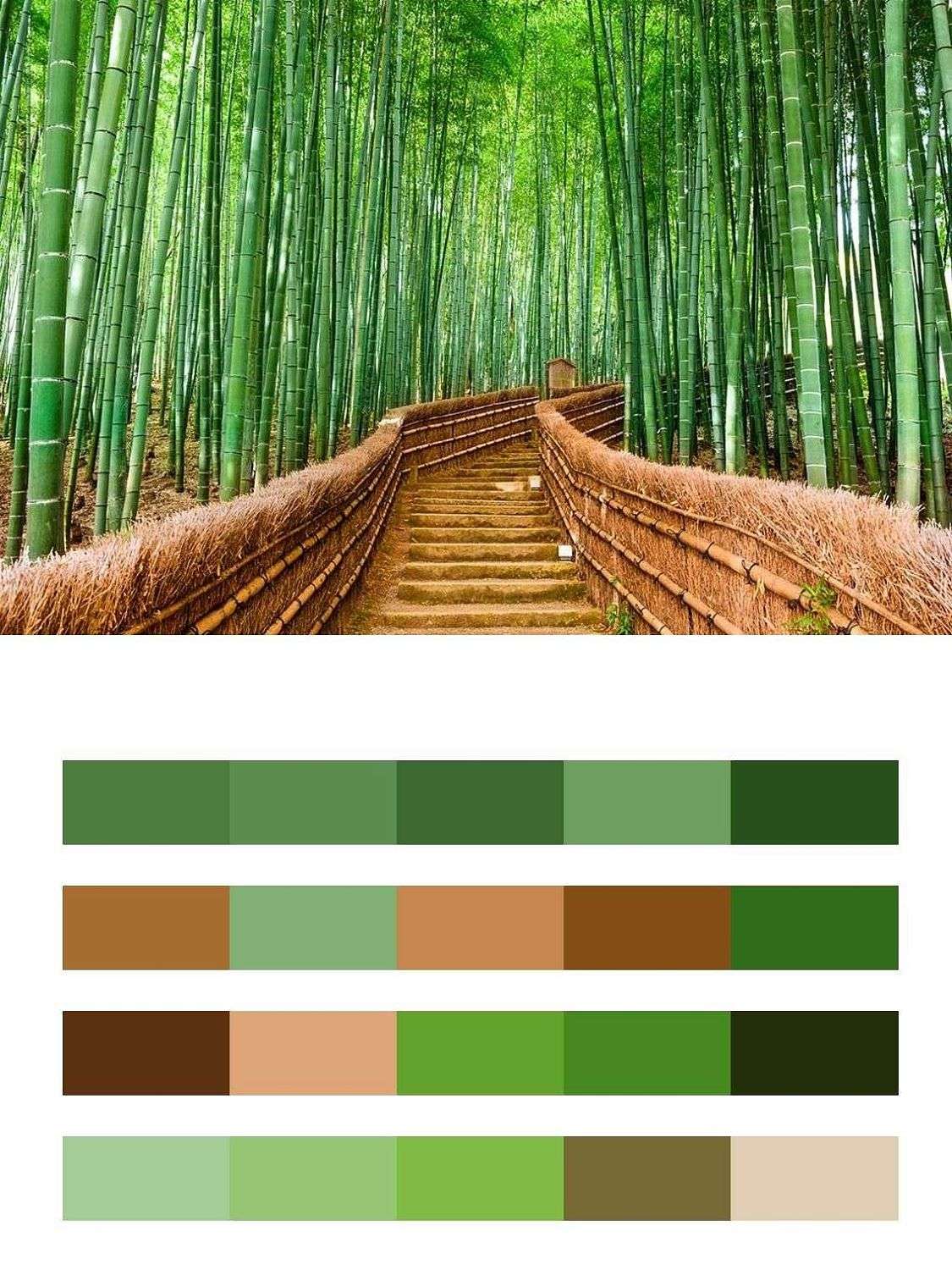 Бамбуковая аллея  9-1762