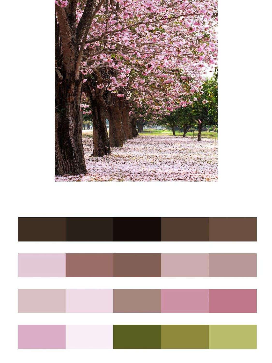 Вишневый сад  9-270