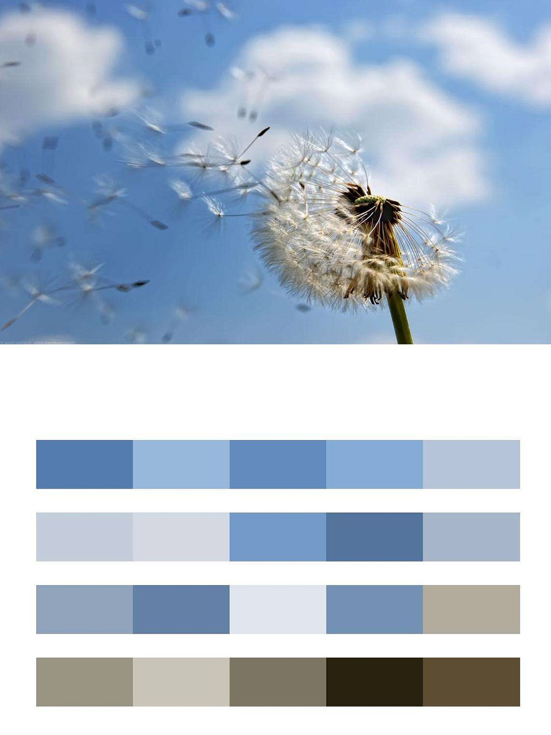 Одуванчик и небо  9-332