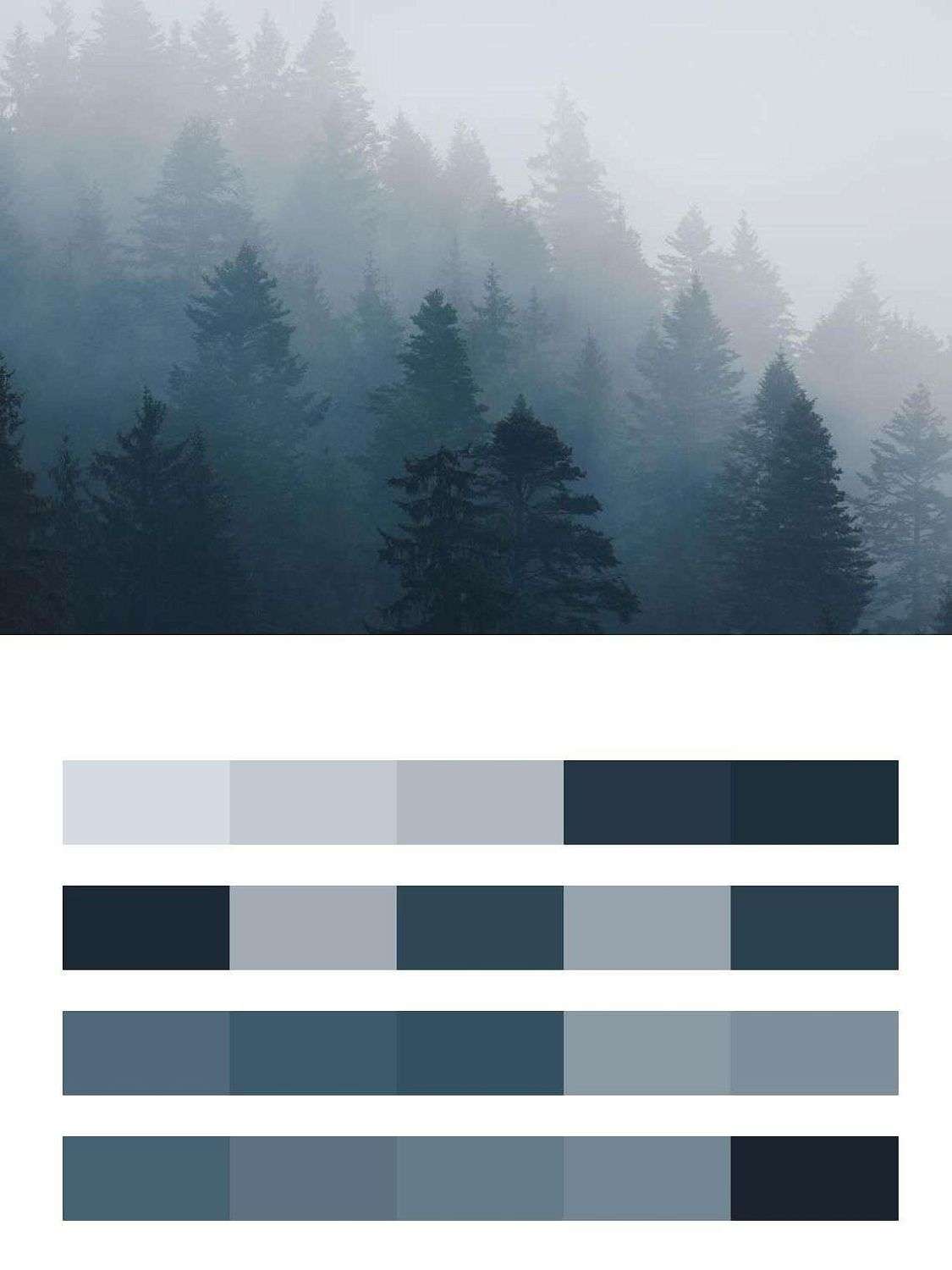 Утро туманов  9-1160