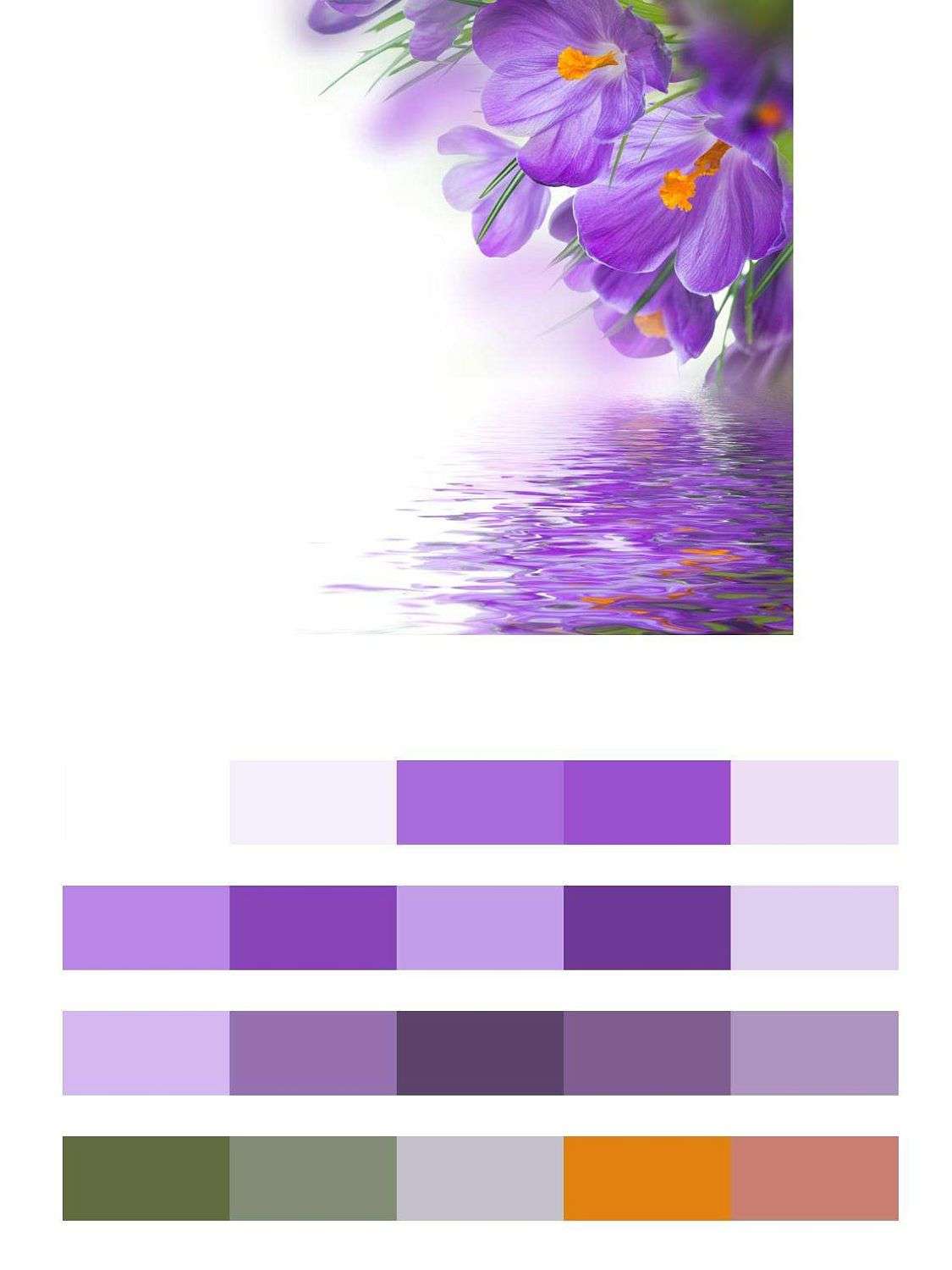 Крокусы над водой  9-054