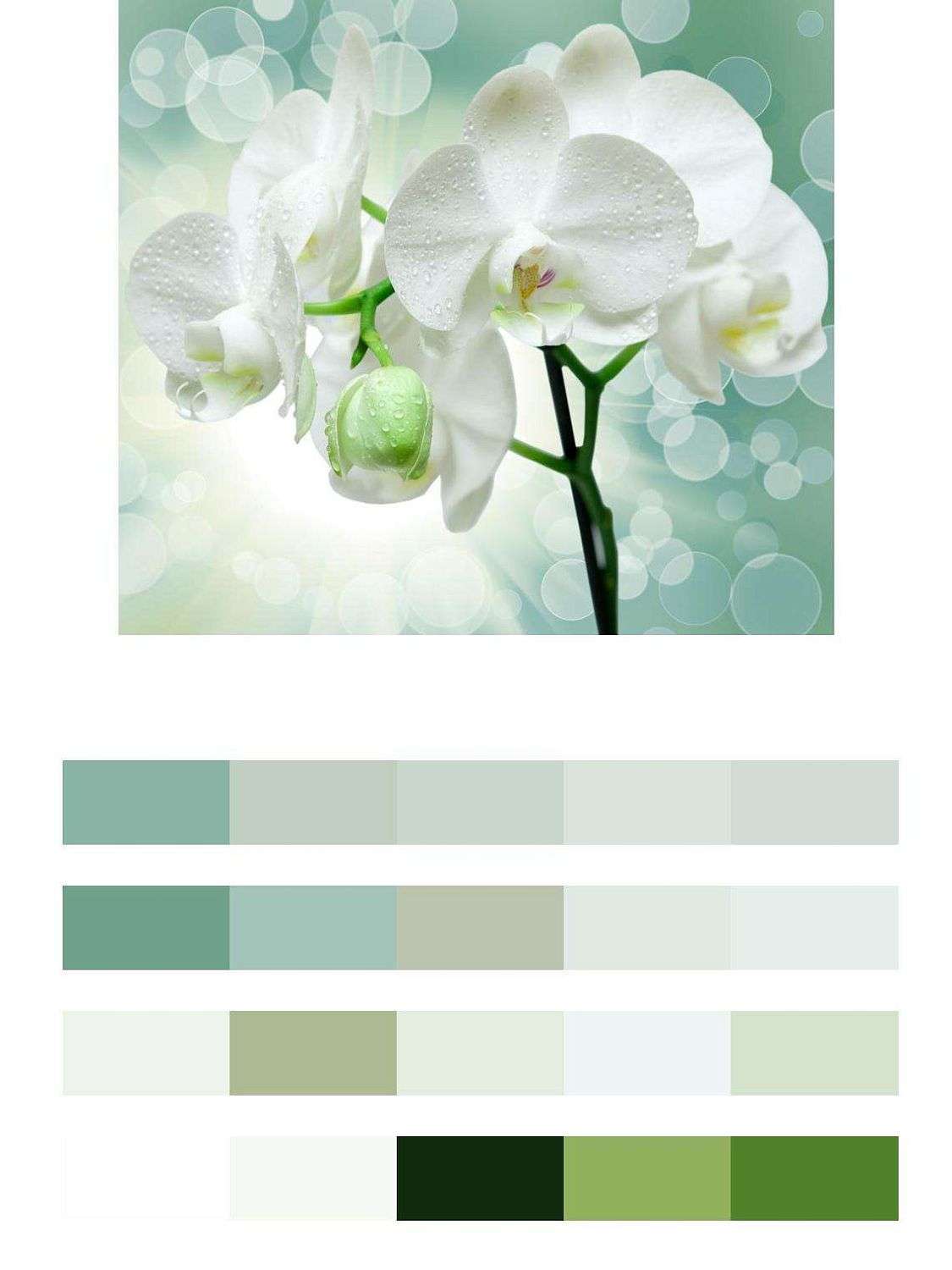 Белая орхидея в интерьере  9-066