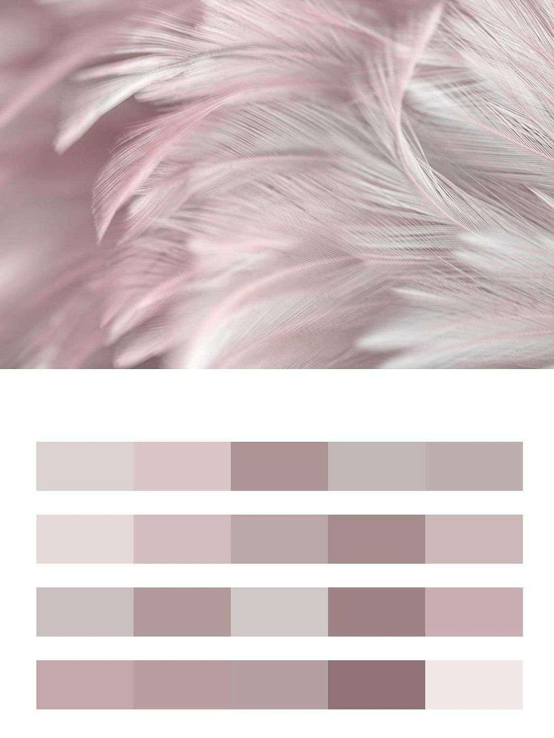 Розовые перышки  9-1220