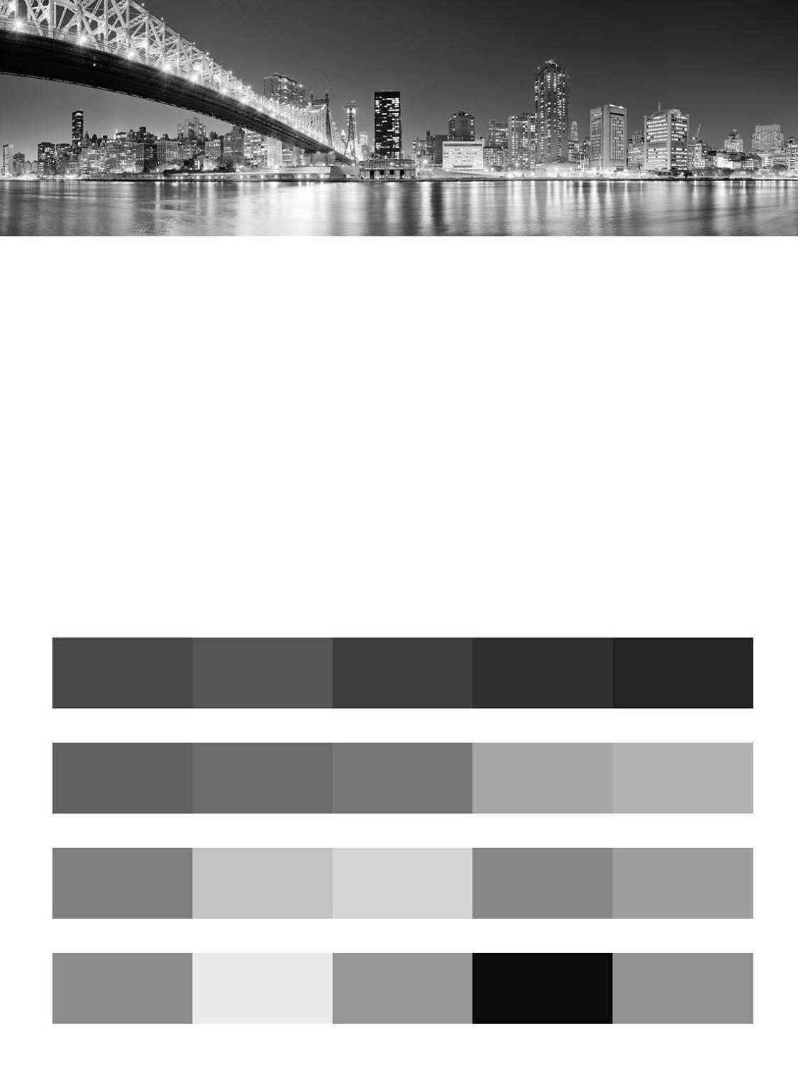 Мост черно белый панорама  9-809