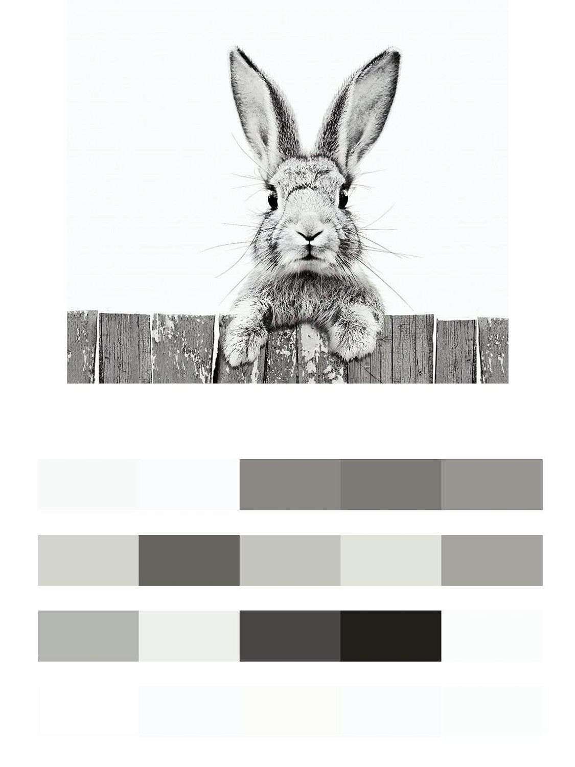 Серый зайка  14-490