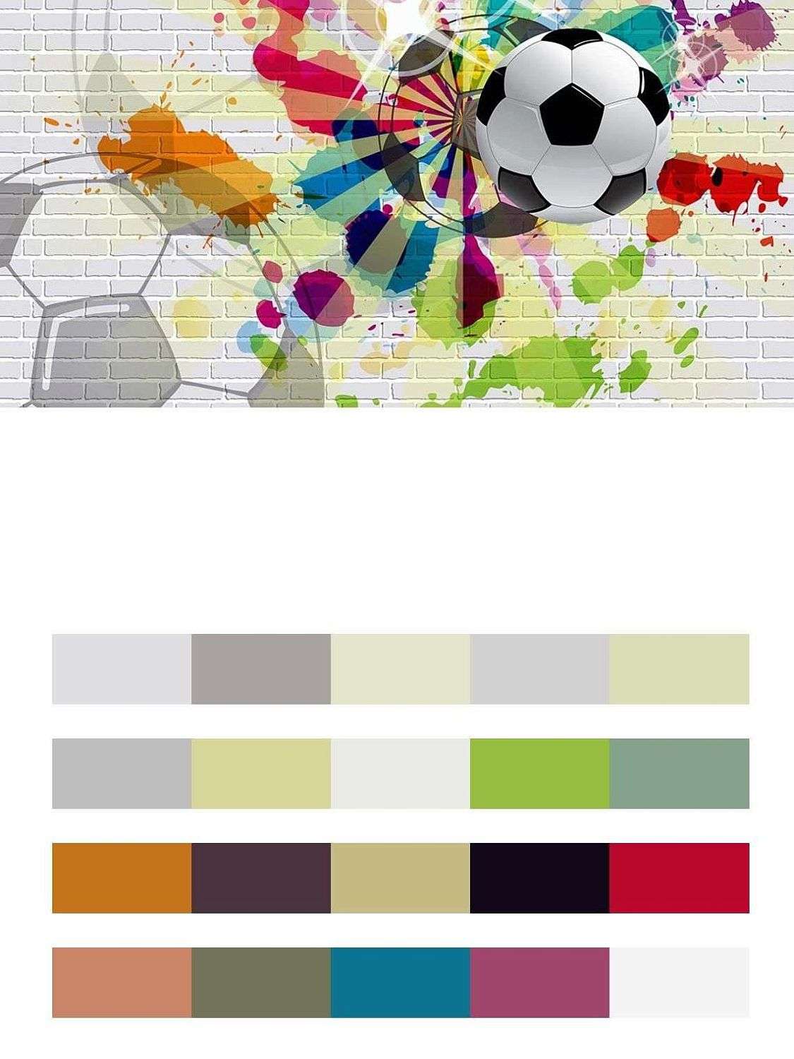 Красочный футбол  14-345