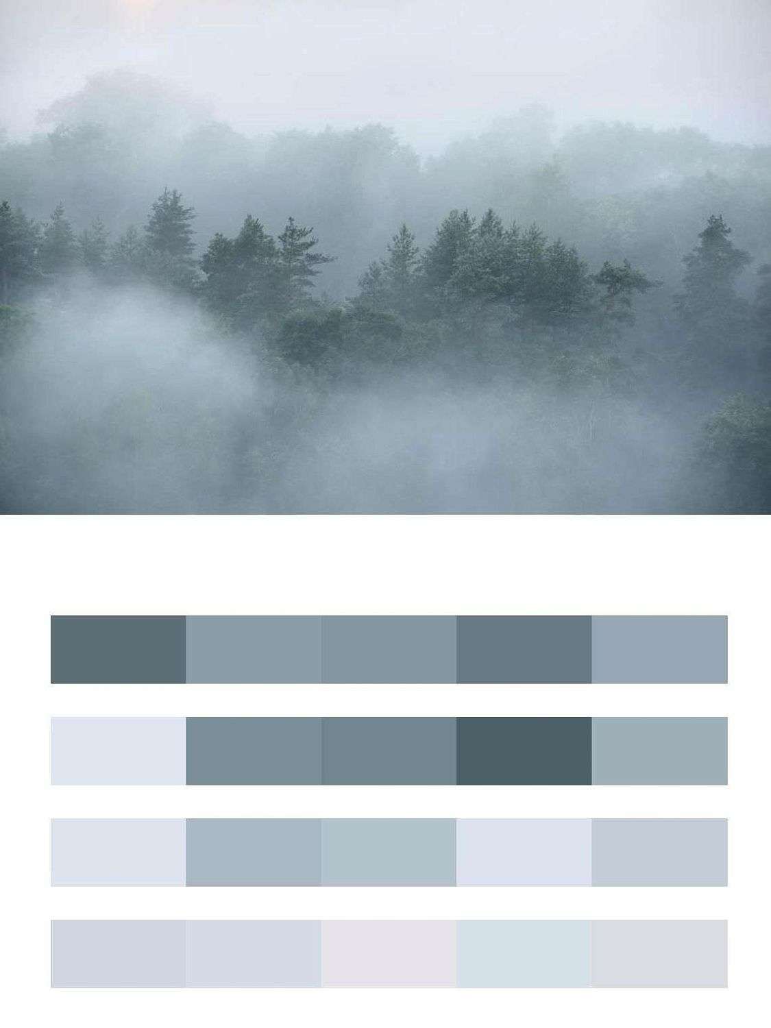 Туманное утро  9-1164