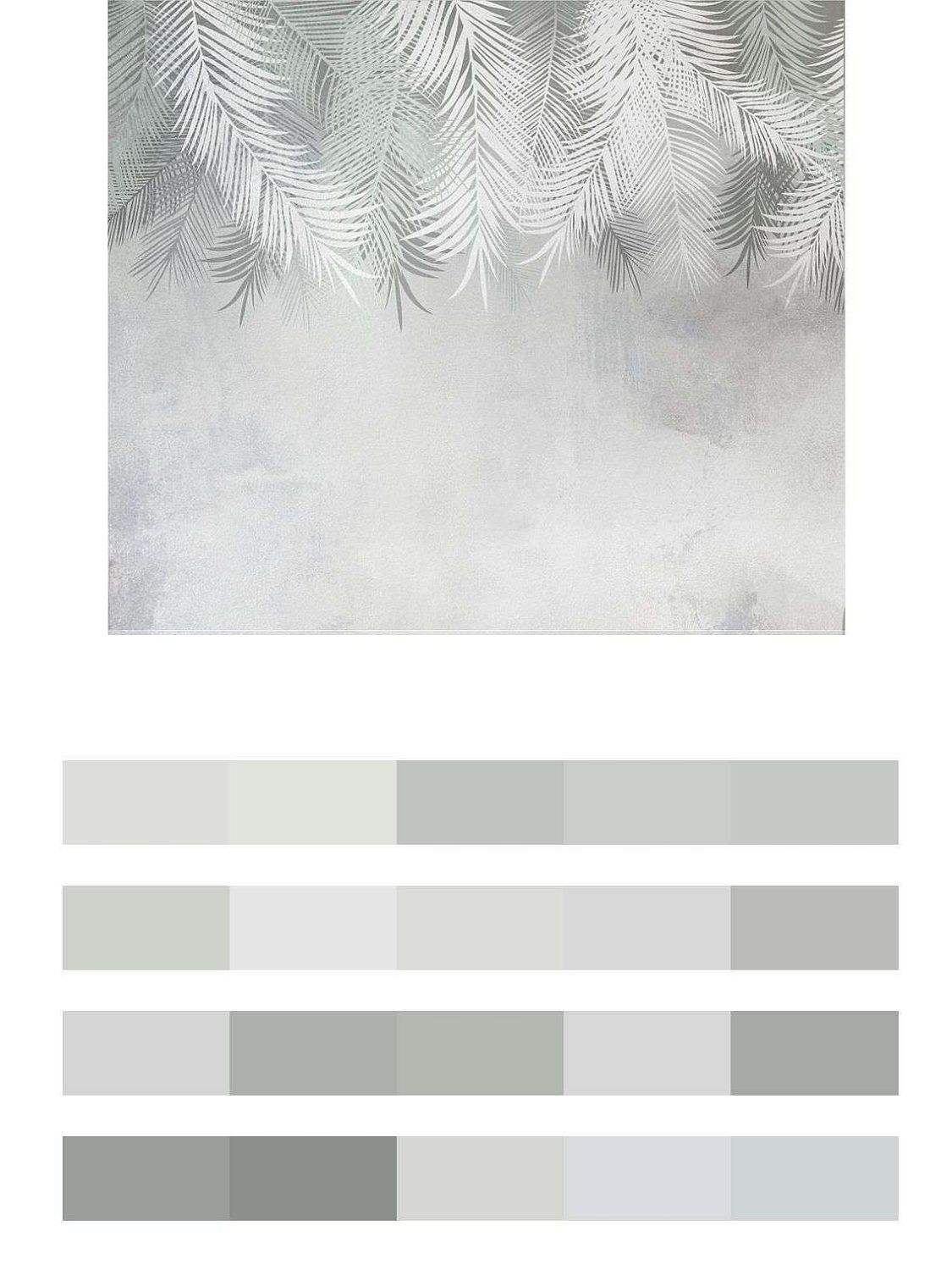 Серые пальмовые листья сверху  9-1817