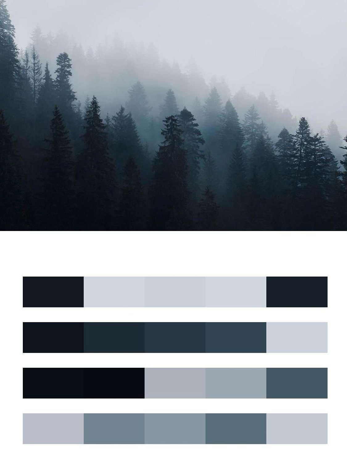 Туманные пейзажи  9-1161