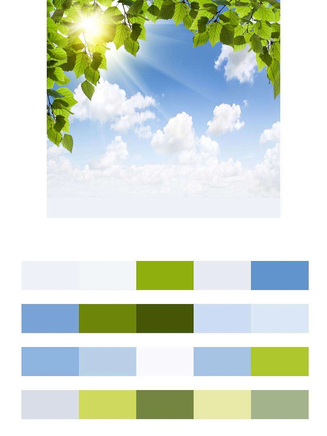 Березовая листва на фоне неба  9-363