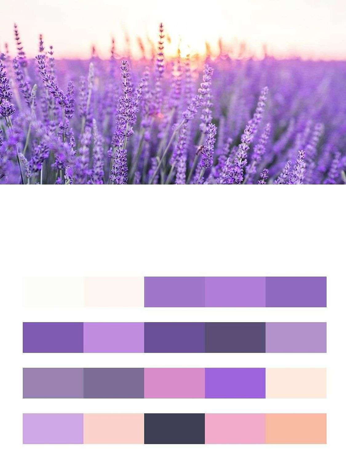 Цветок лаванды  9-1731