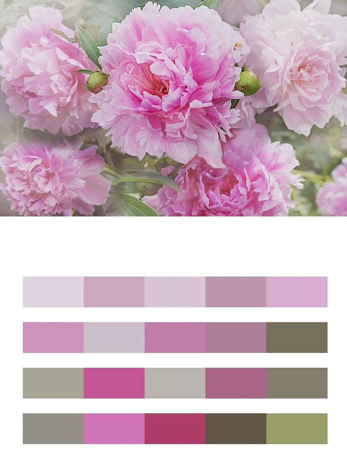 3д пионы розовые  13-241