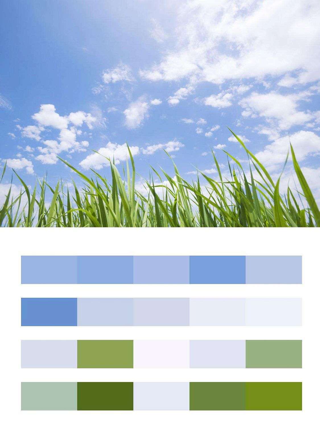 Зеленая трава и светлое небо  9-355