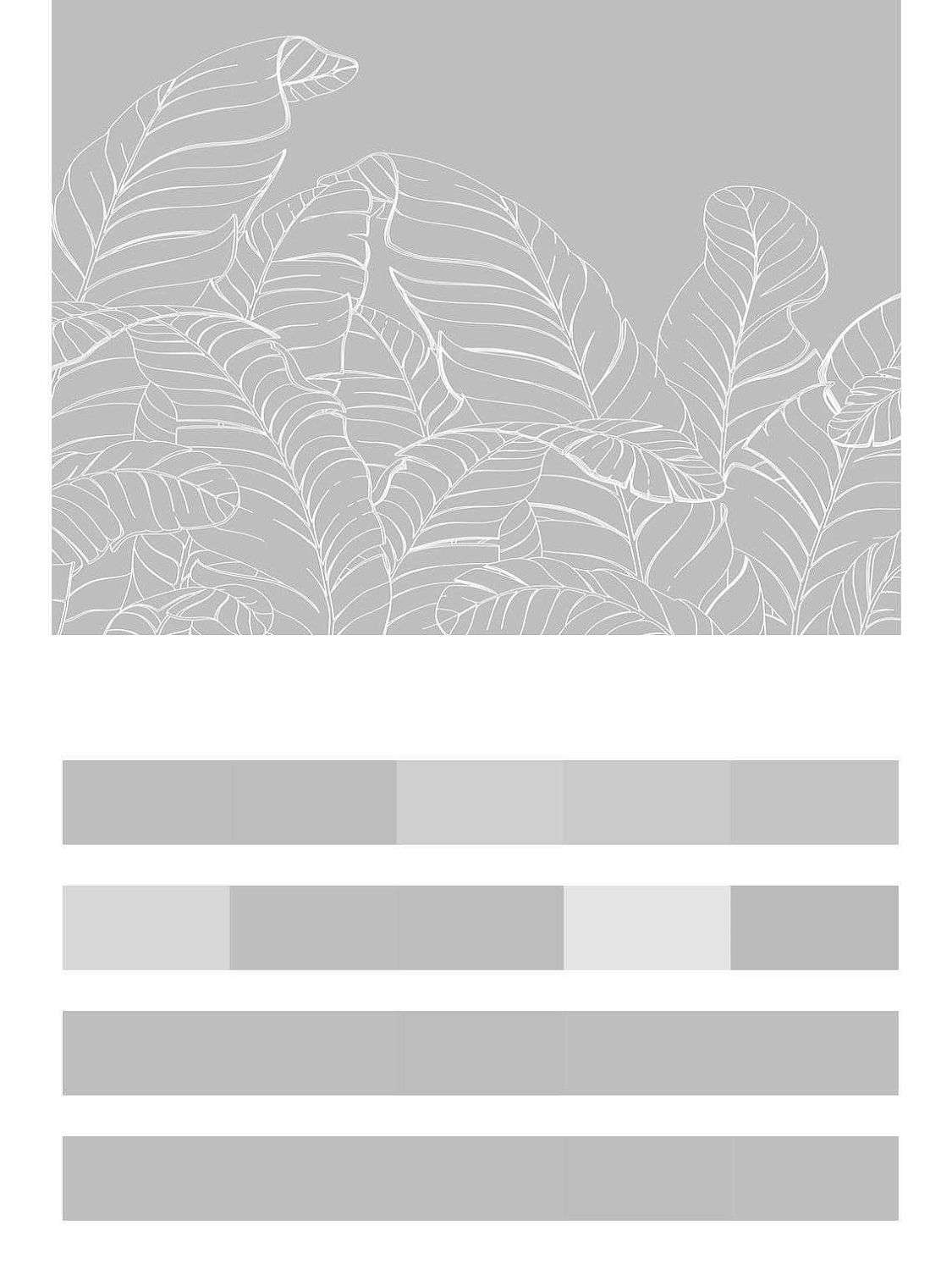 Листья пальмы в серых тонах  14-478