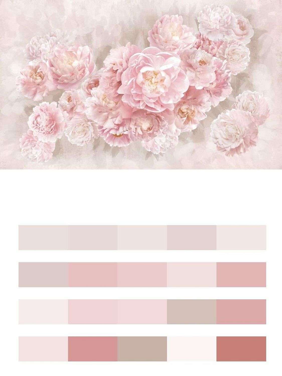 Розовые пионы на стену  14-576